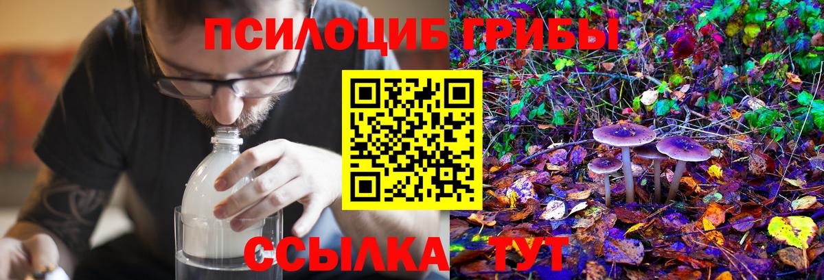 Псилоцибиновые грибы мухоморы Хабаровск