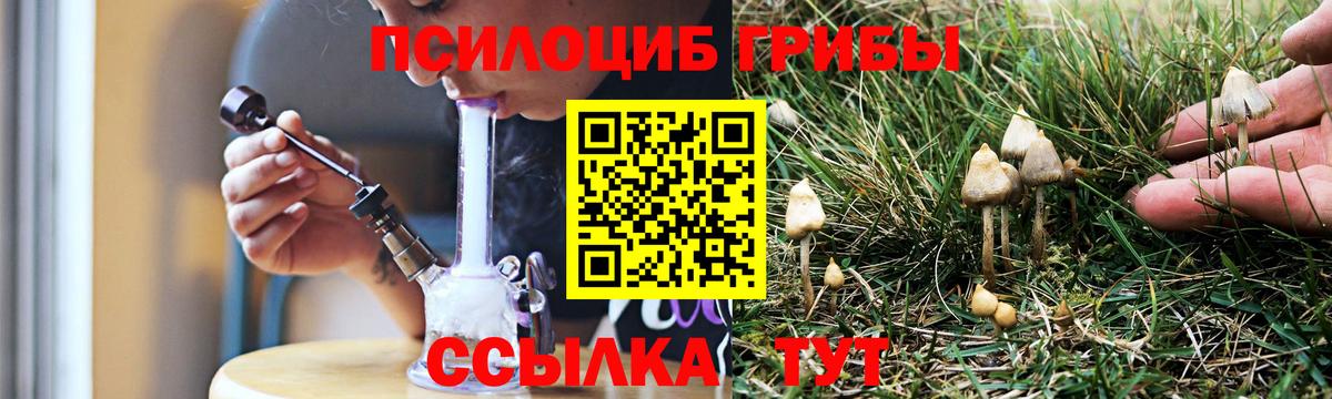 Хабаровск  Псилоцибиновые грибы мухоморы  Вход с VPN 